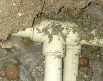 西藏测漏水多少钱